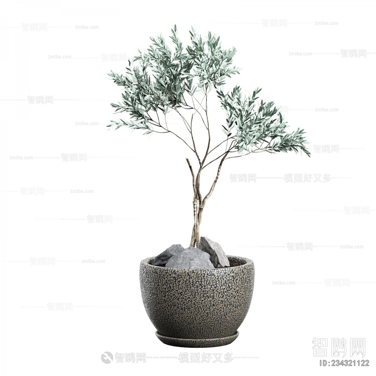 Modern Bonsai