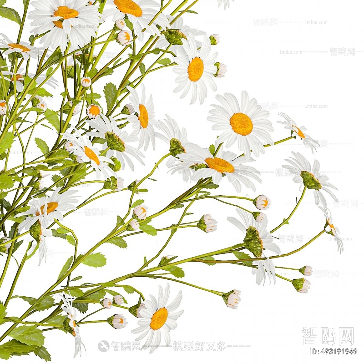 Modern Flower Arrangement