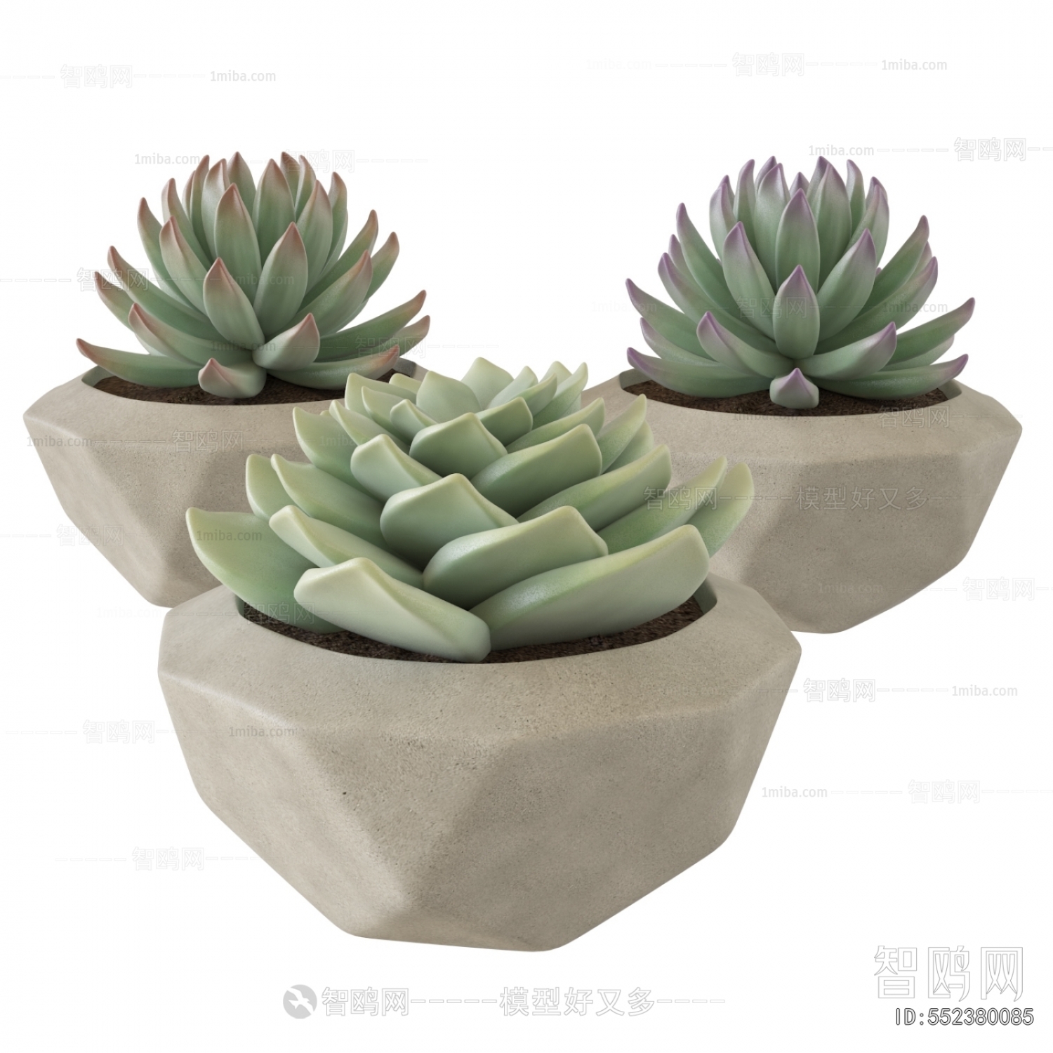 Modern Potted Green Plant