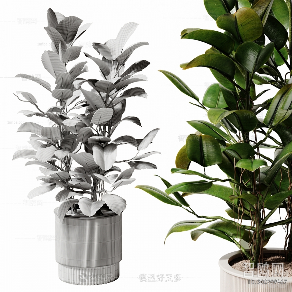Modern Ground Green Plant Potted Plants