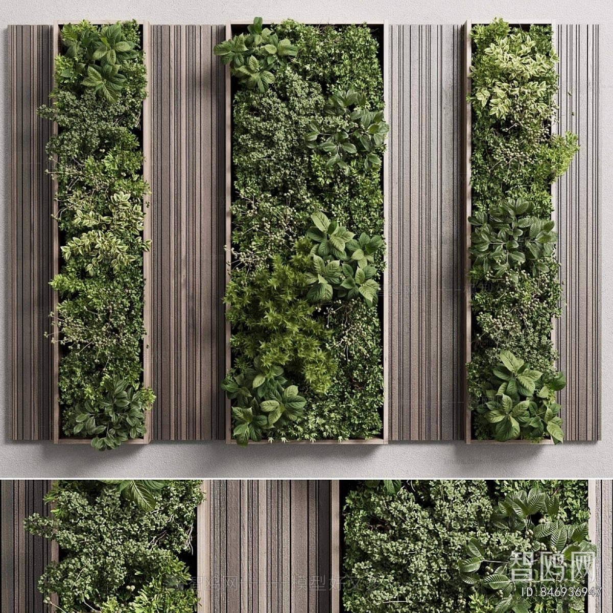 Modern Plant Wall