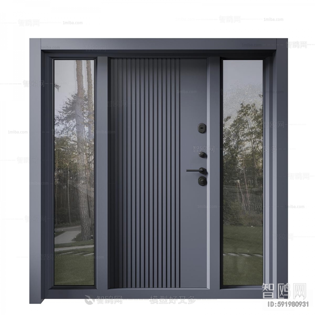 Modern Entrance Door
