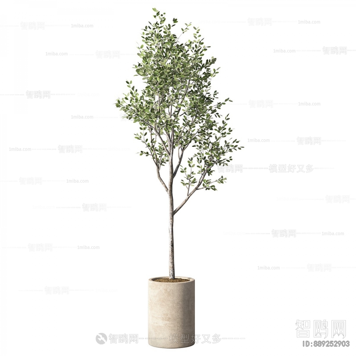 Modern Ground Green Plant Potted Plants