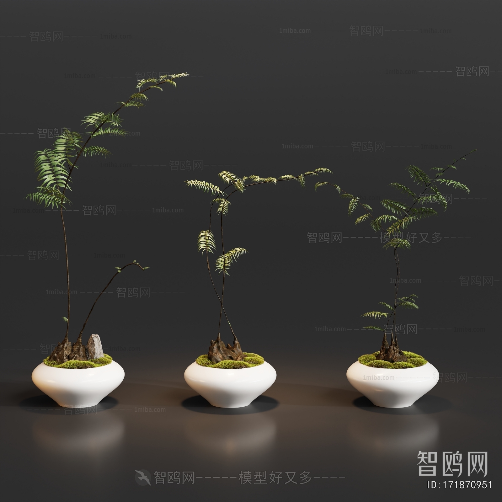 Modern Bonsai