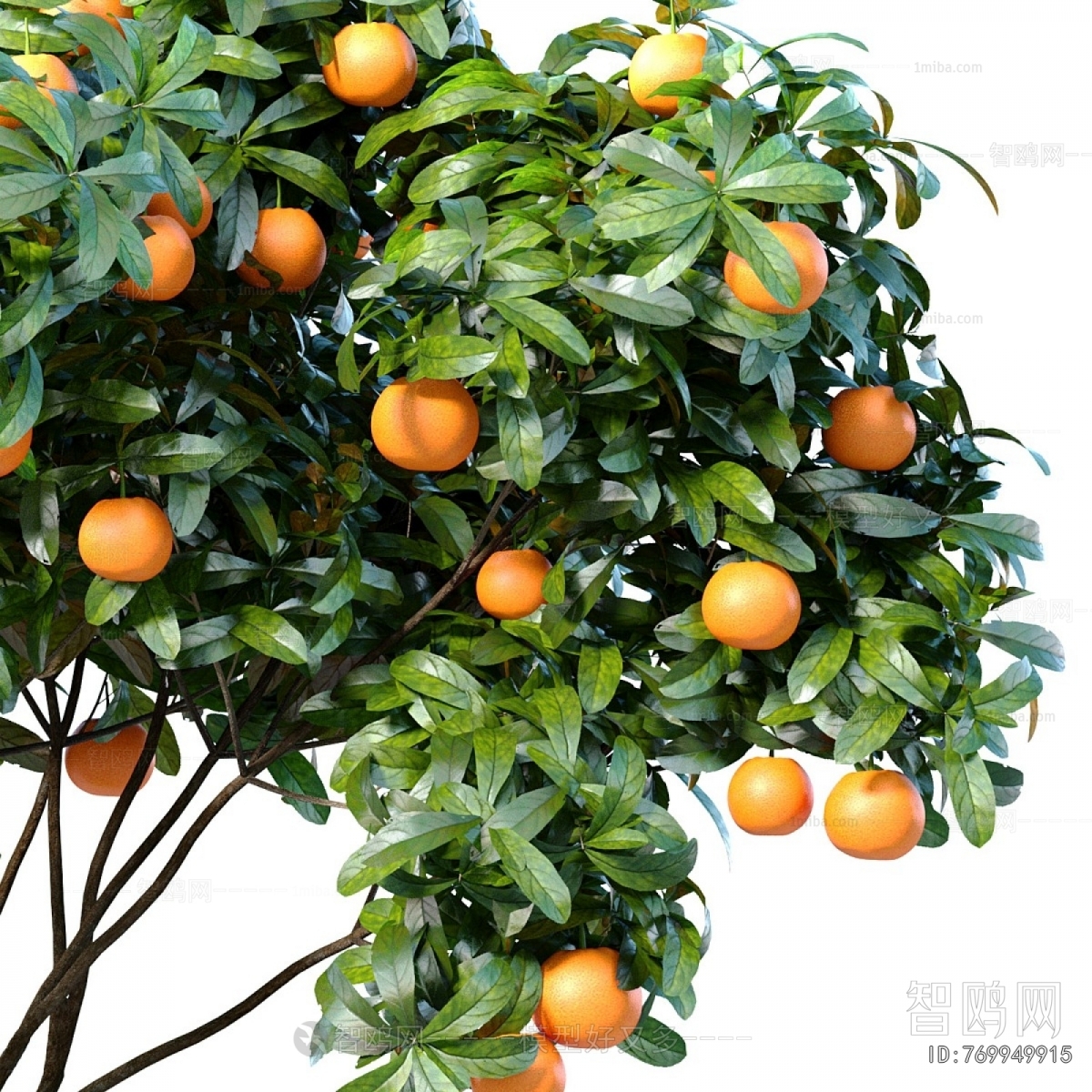 Modern Ground Green Plant Potted Plants