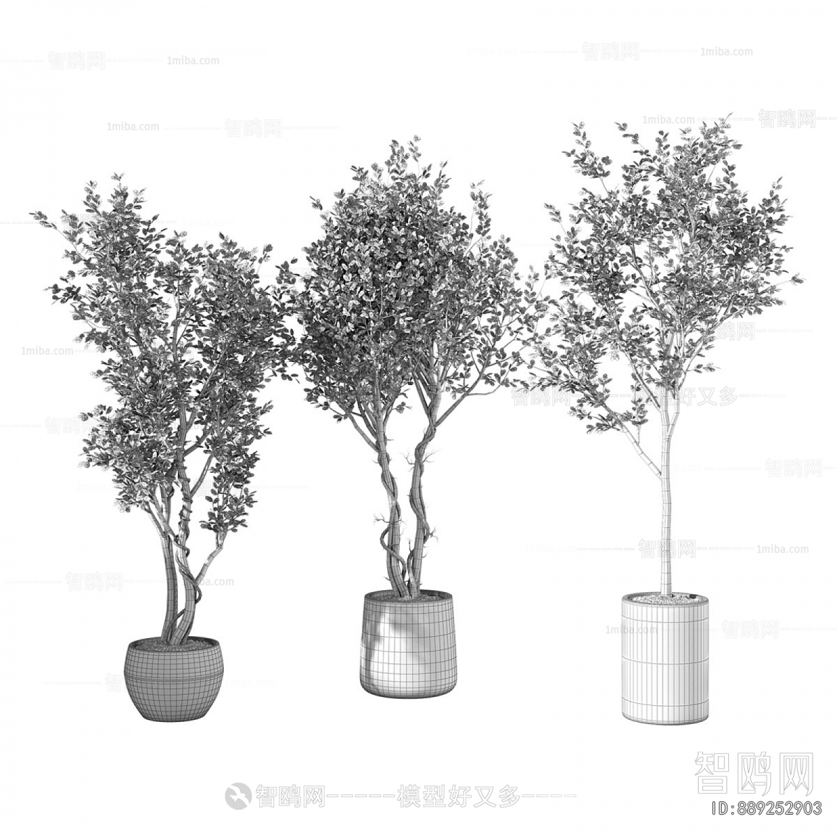 Modern Ground Green Plant Potted Plants