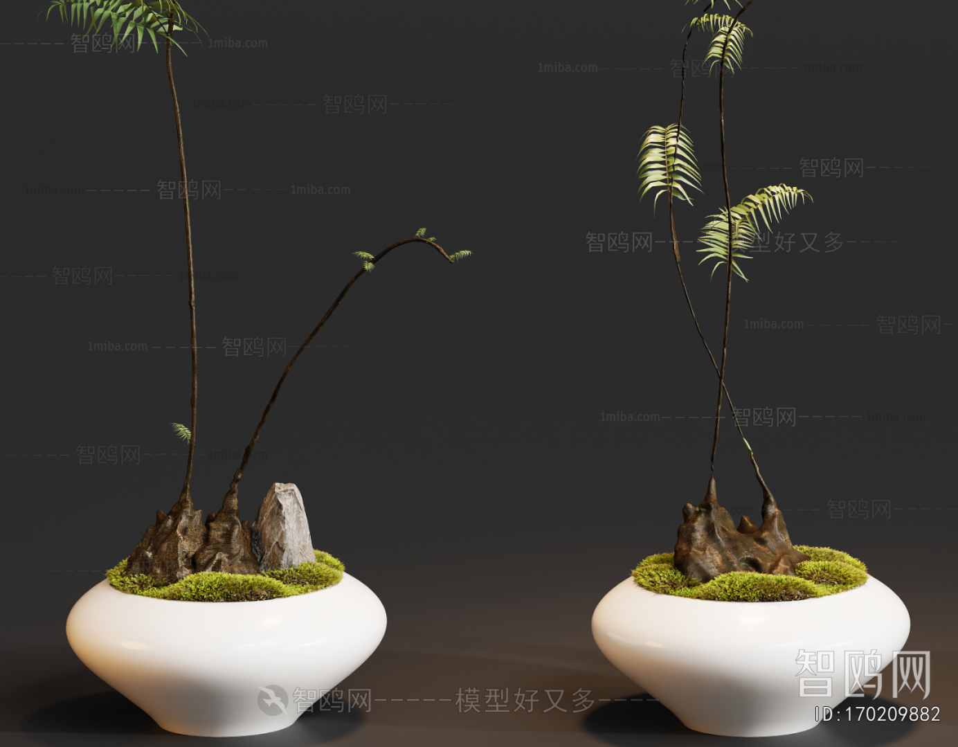 Modern Bonsai