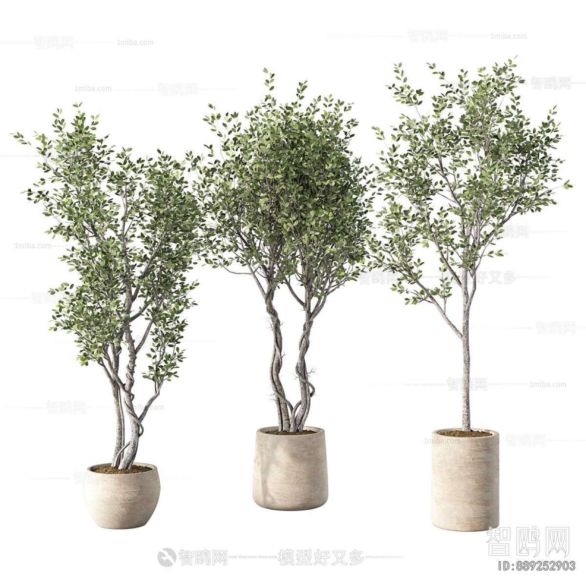 Modern Ground Green Plant Potted Plants