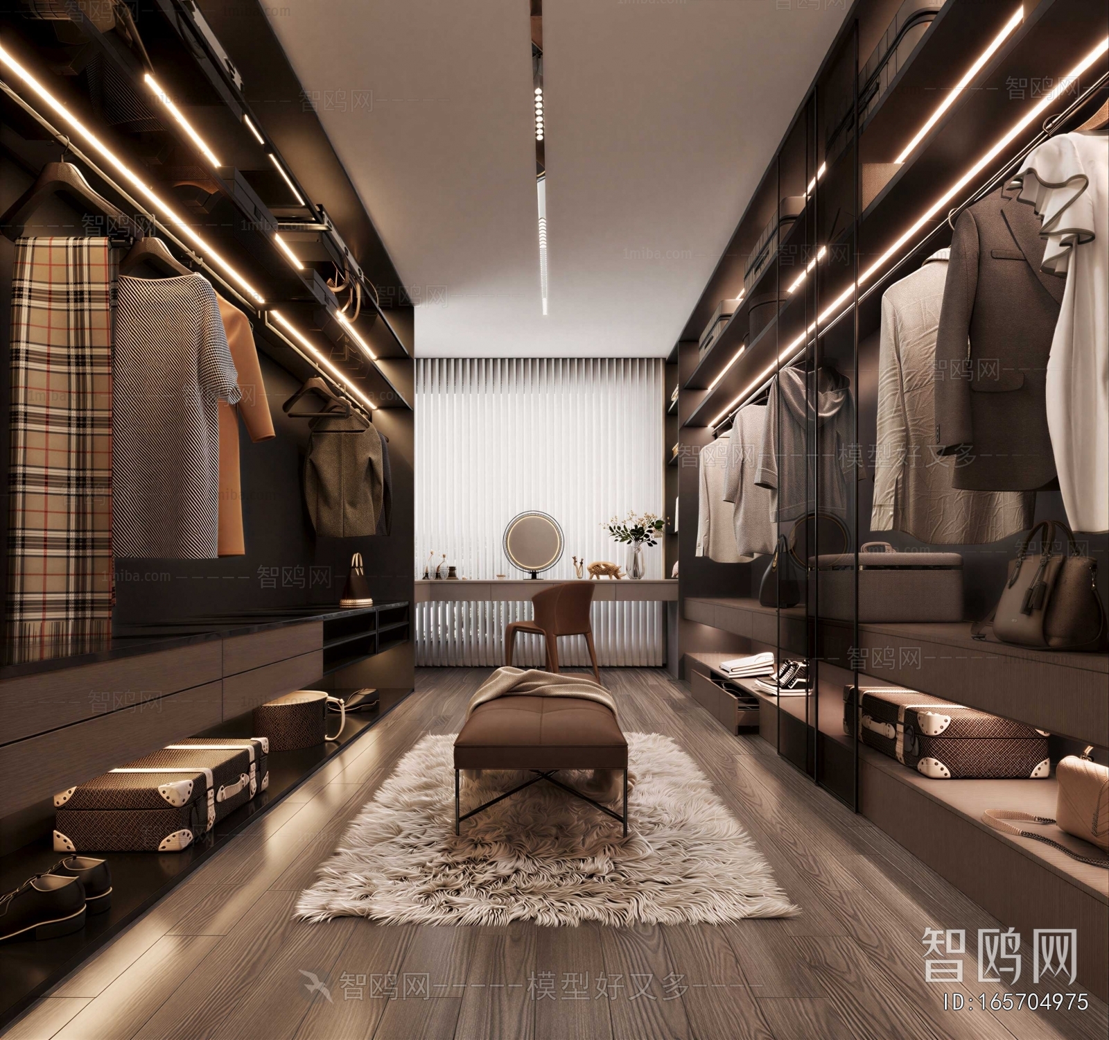 Modern Clothes Storage Area