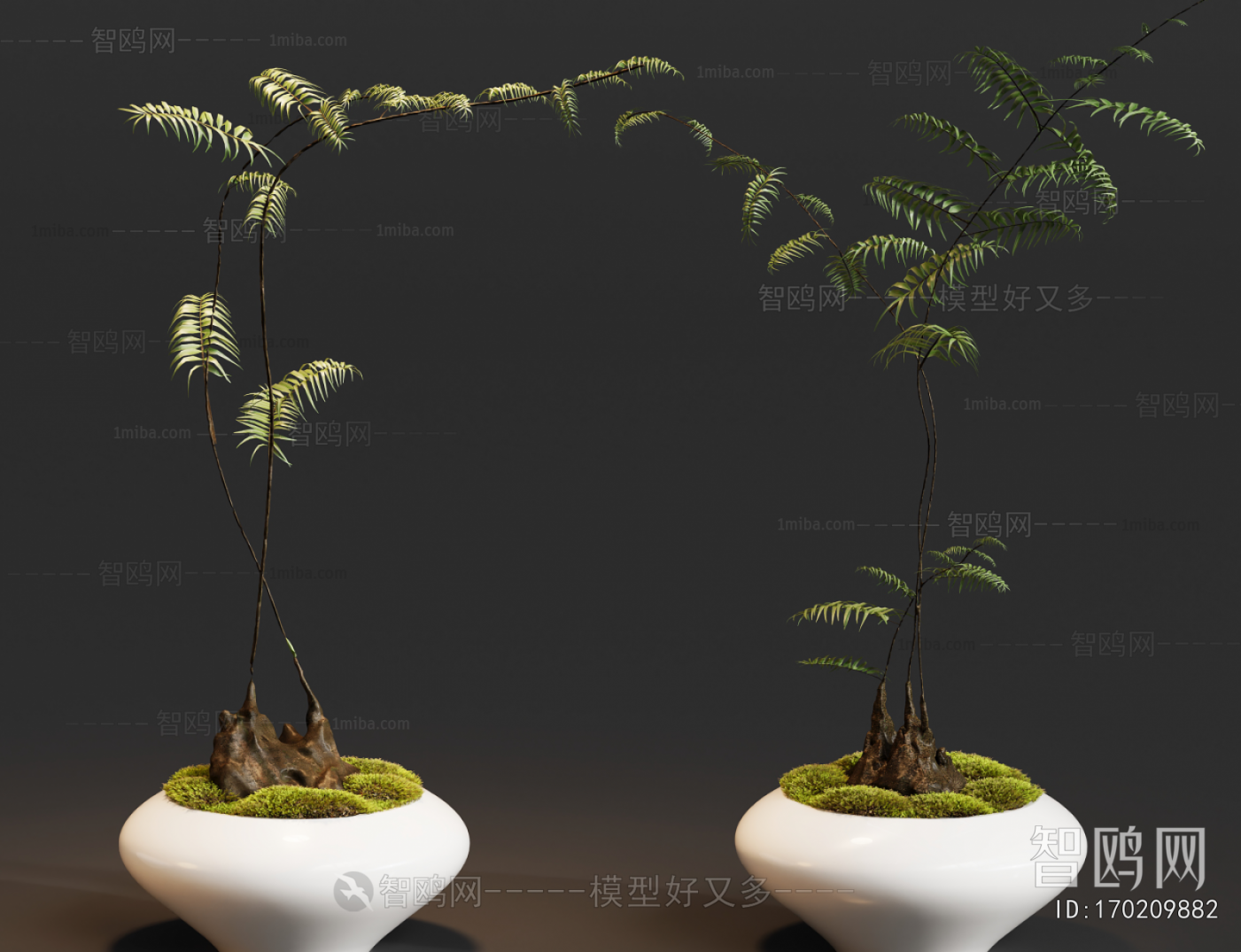 Modern Bonsai