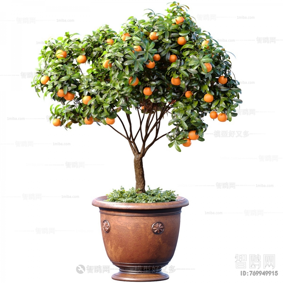 Modern Ground Green Plant Potted Plants