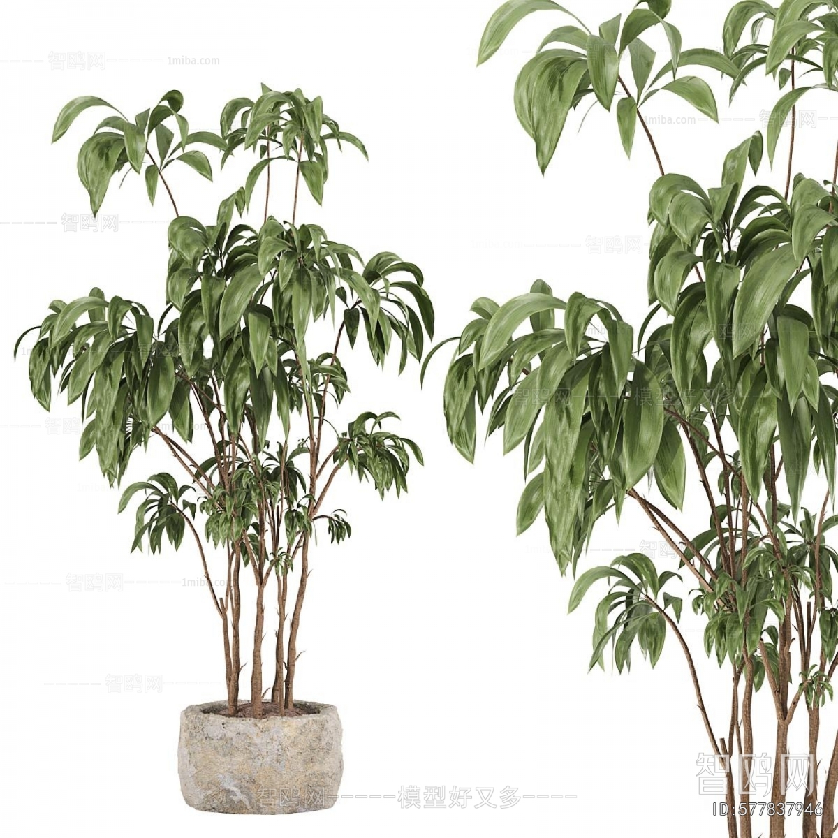 Modern Ground Green Plant Potted Plants