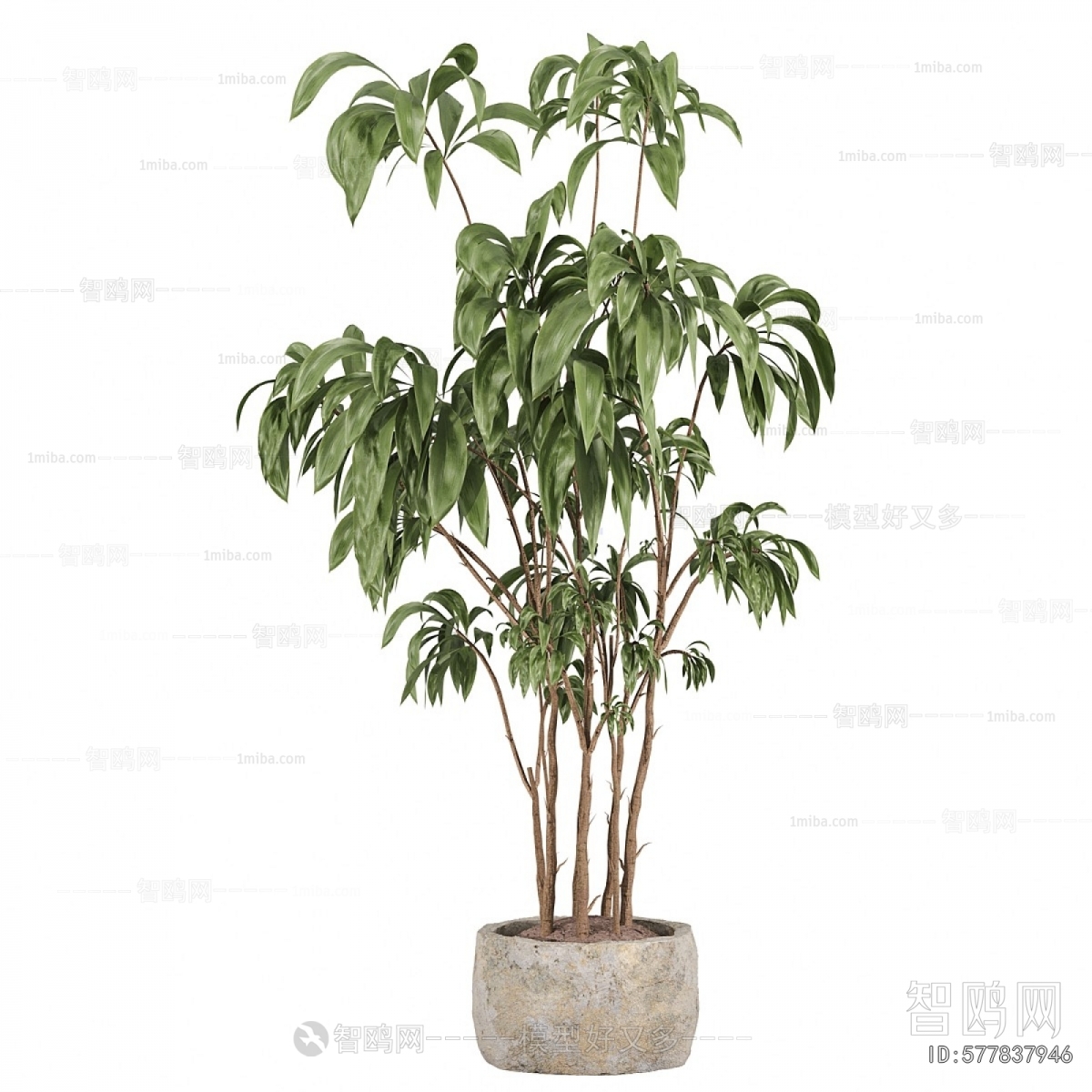 Modern Ground Green Plant Potted Plants