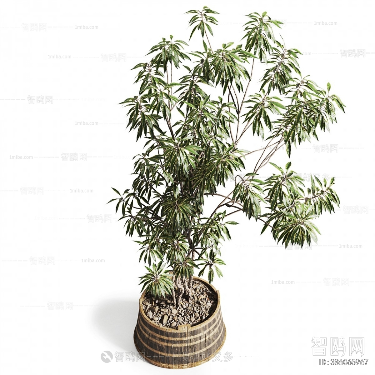 Modern Ground Green Plant Potted Plants