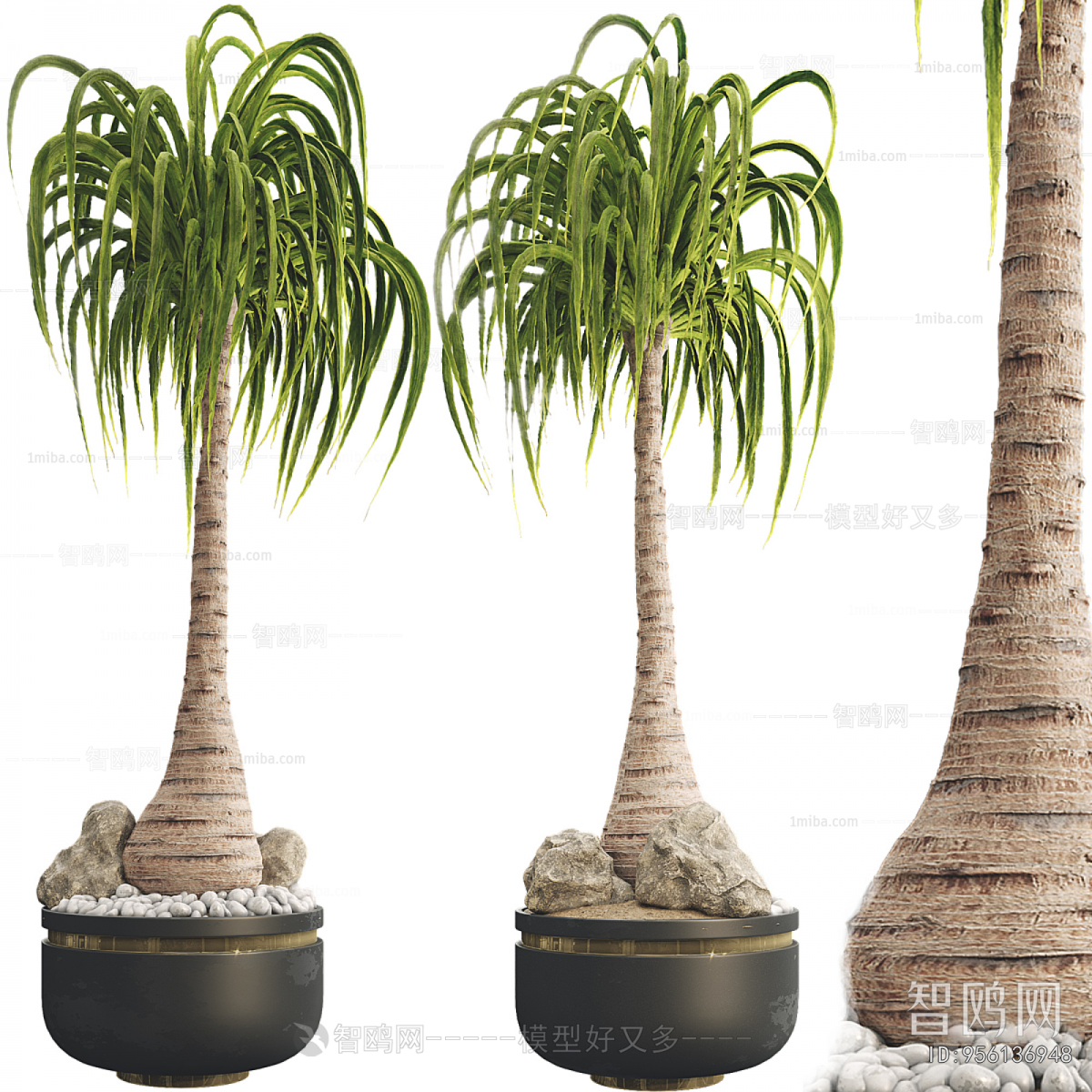 Modern Ground Green Plant Potted Plants