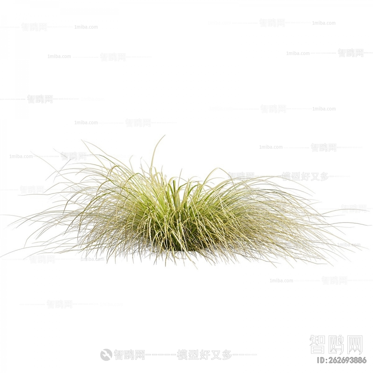 Modern The Grass