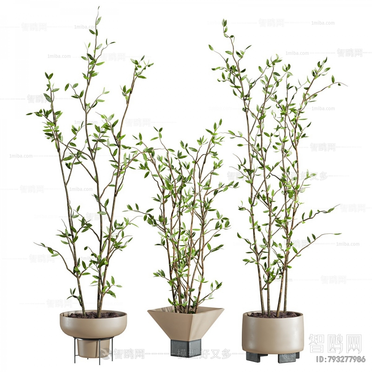 Modern Ground Green Plant Potted Plants
