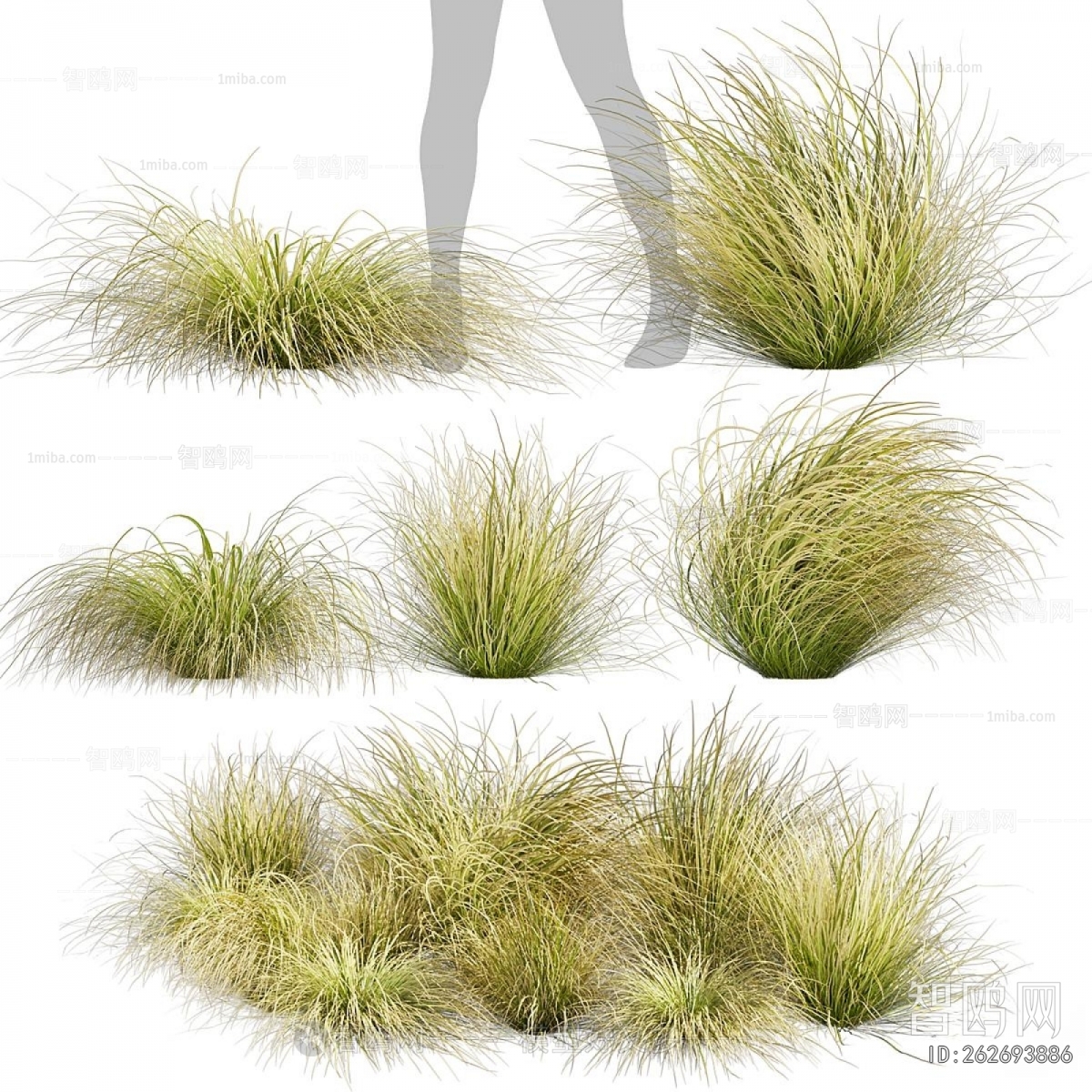 Modern The Grass