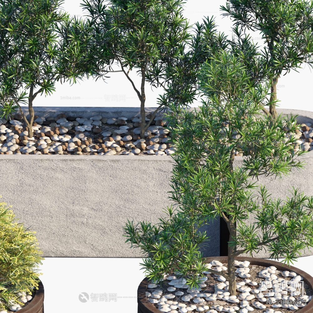 Modern Flower Bed, Flower Bowl, Flower Box