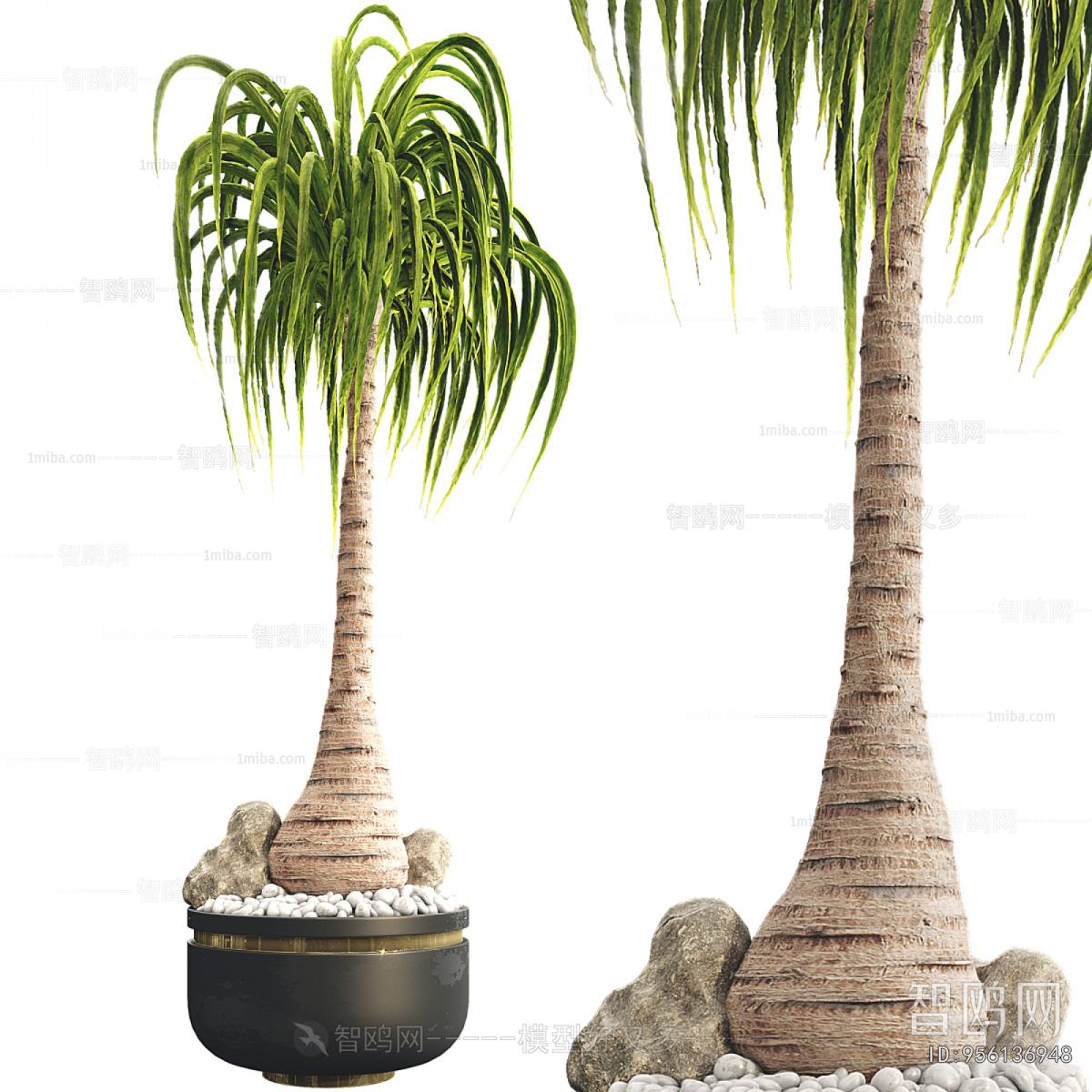 Modern Ground Green Plant Potted Plants