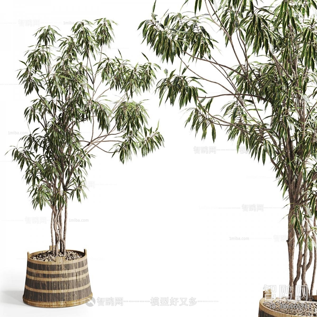 Modern Ground Green Plant Potted Plants