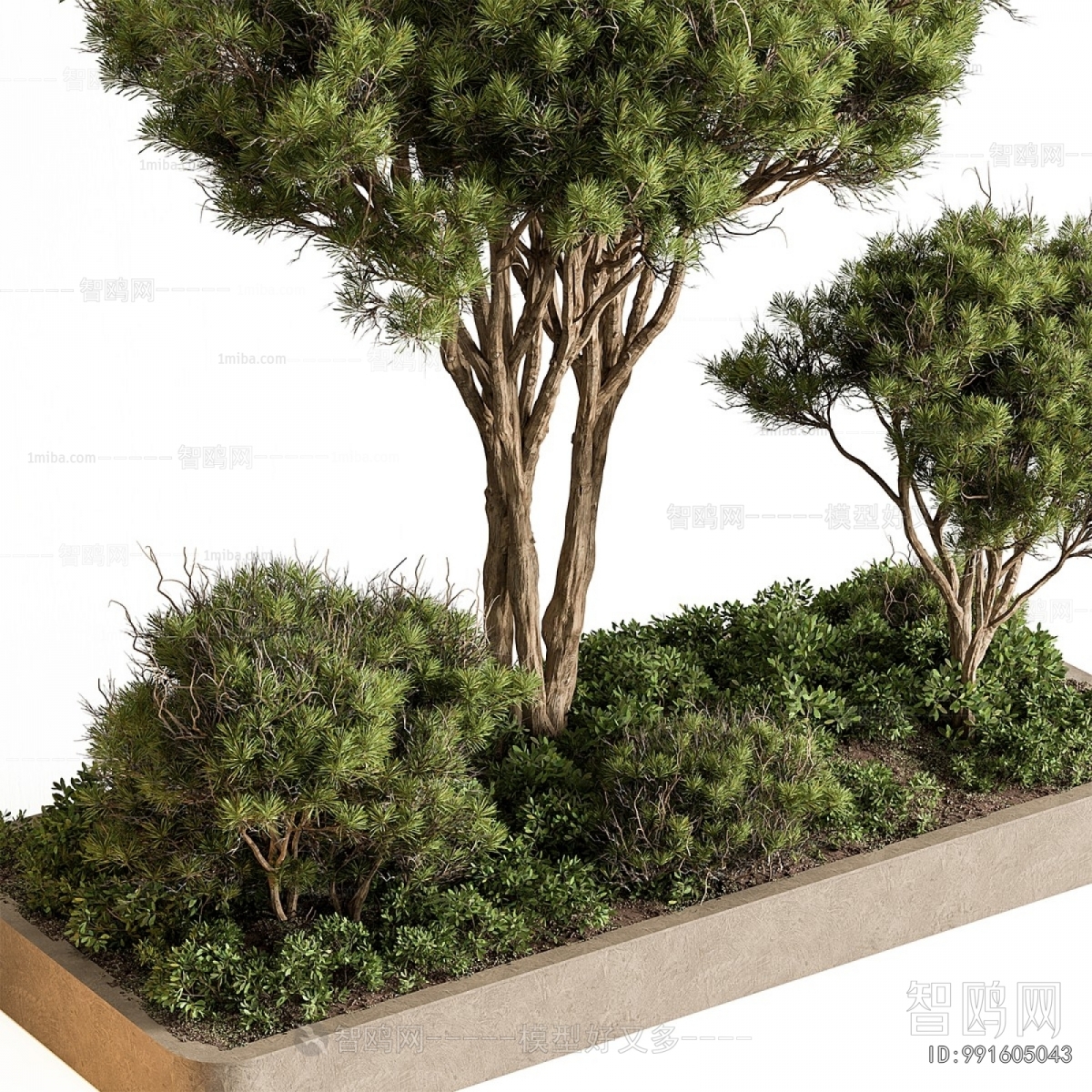 Modern Flower Bed, Flower Bowl, Flower Box