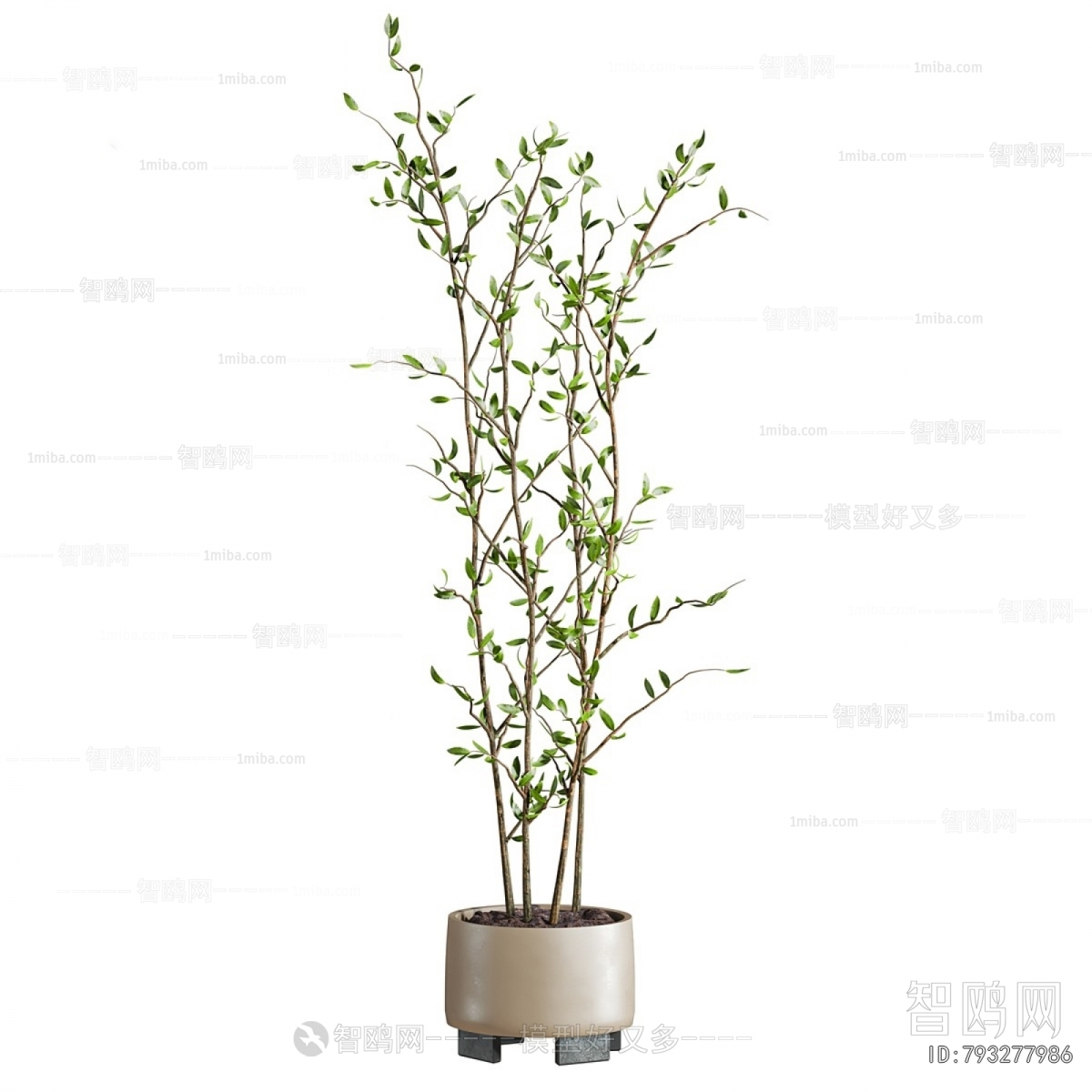 Modern Ground Green Plant Potted Plants