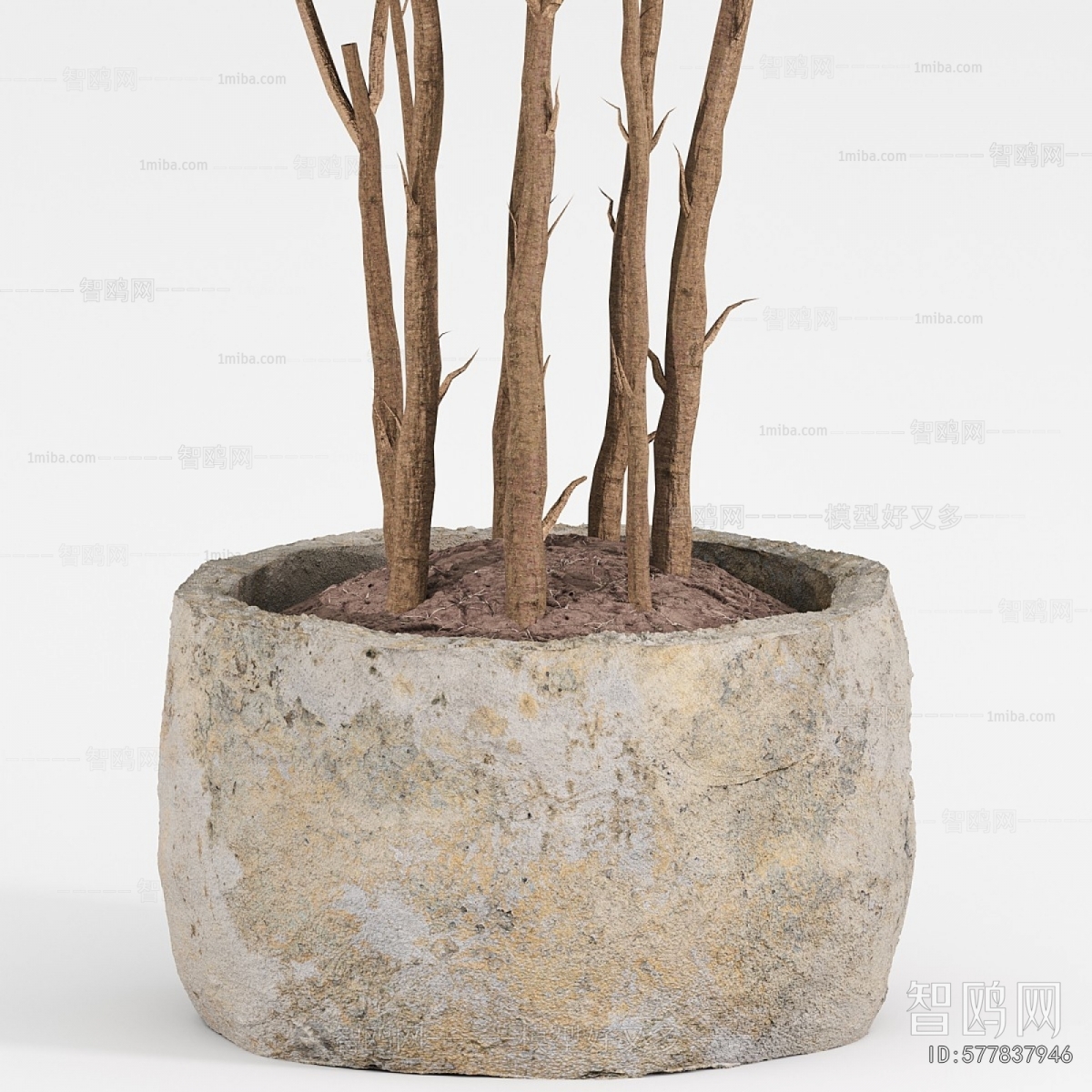 Modern Ground Green Plant Potted Plants