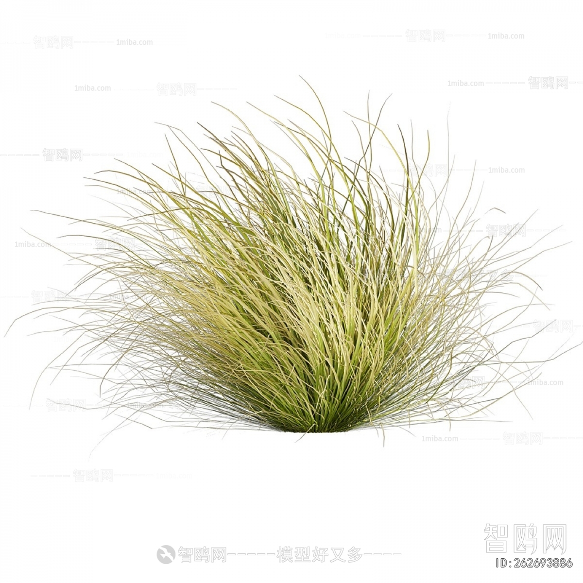 Modern The Grass
