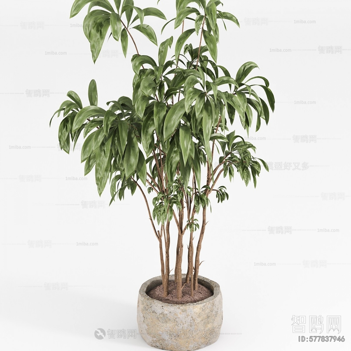 Modern Ground Green Plant Potted Plants