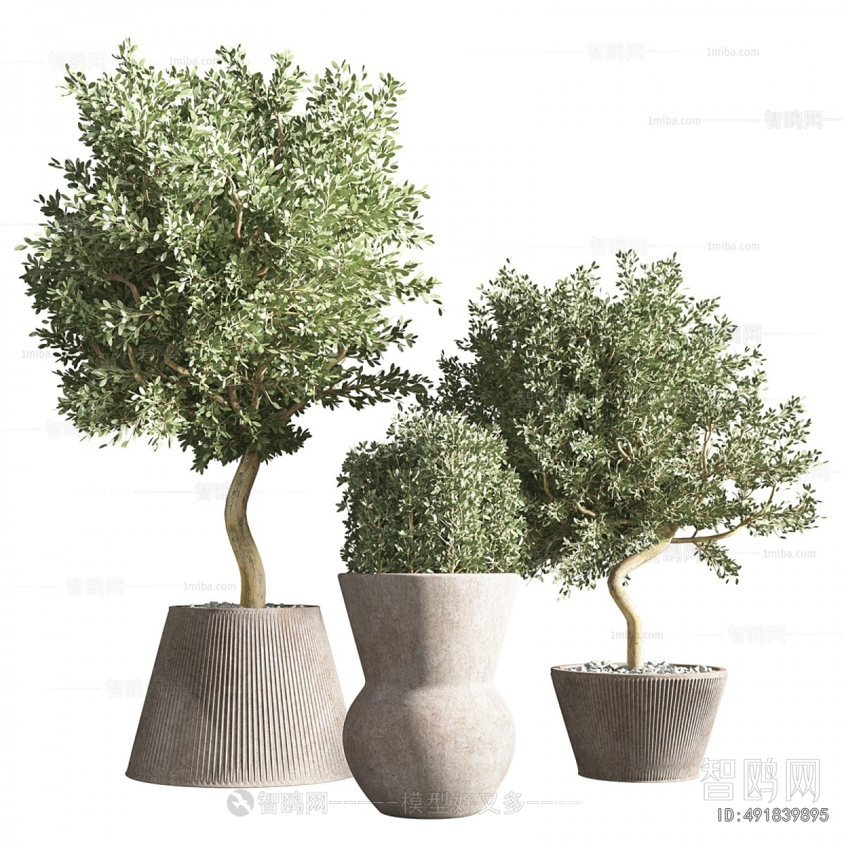 Modern Ground Green Plant Potted Plants