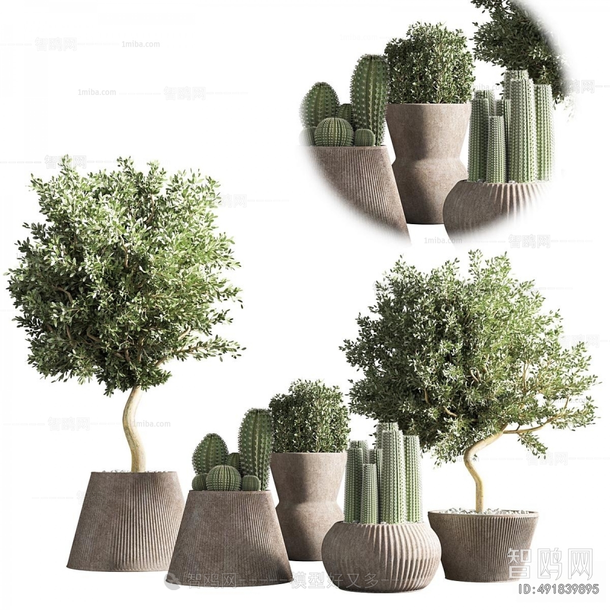 Modern Ground Green Plant Potted Plants