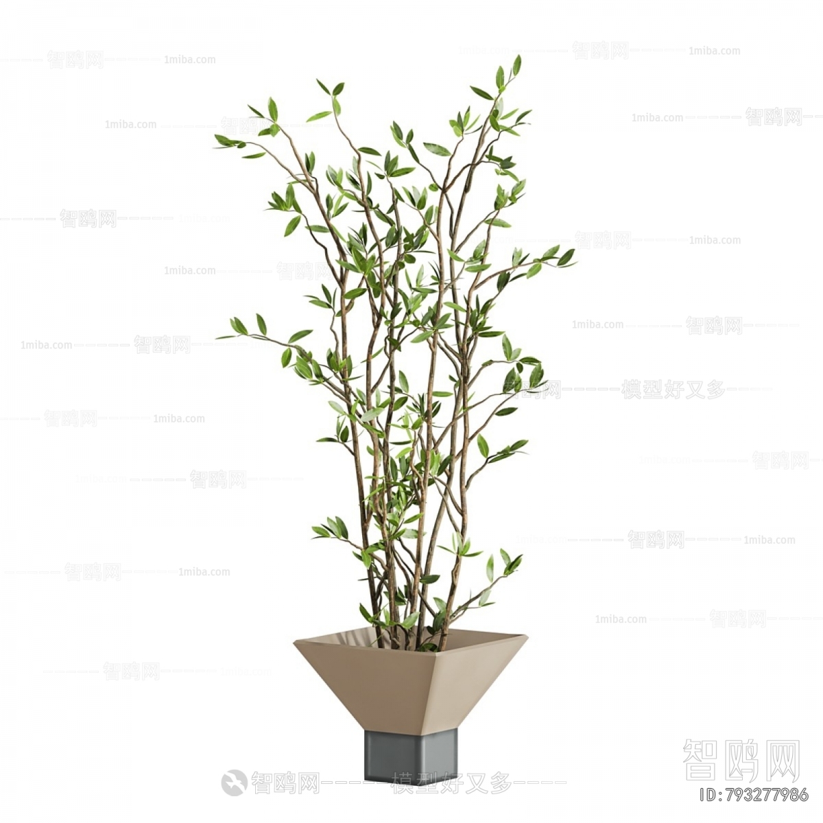 Modern Ground Green Plant Potted Plants