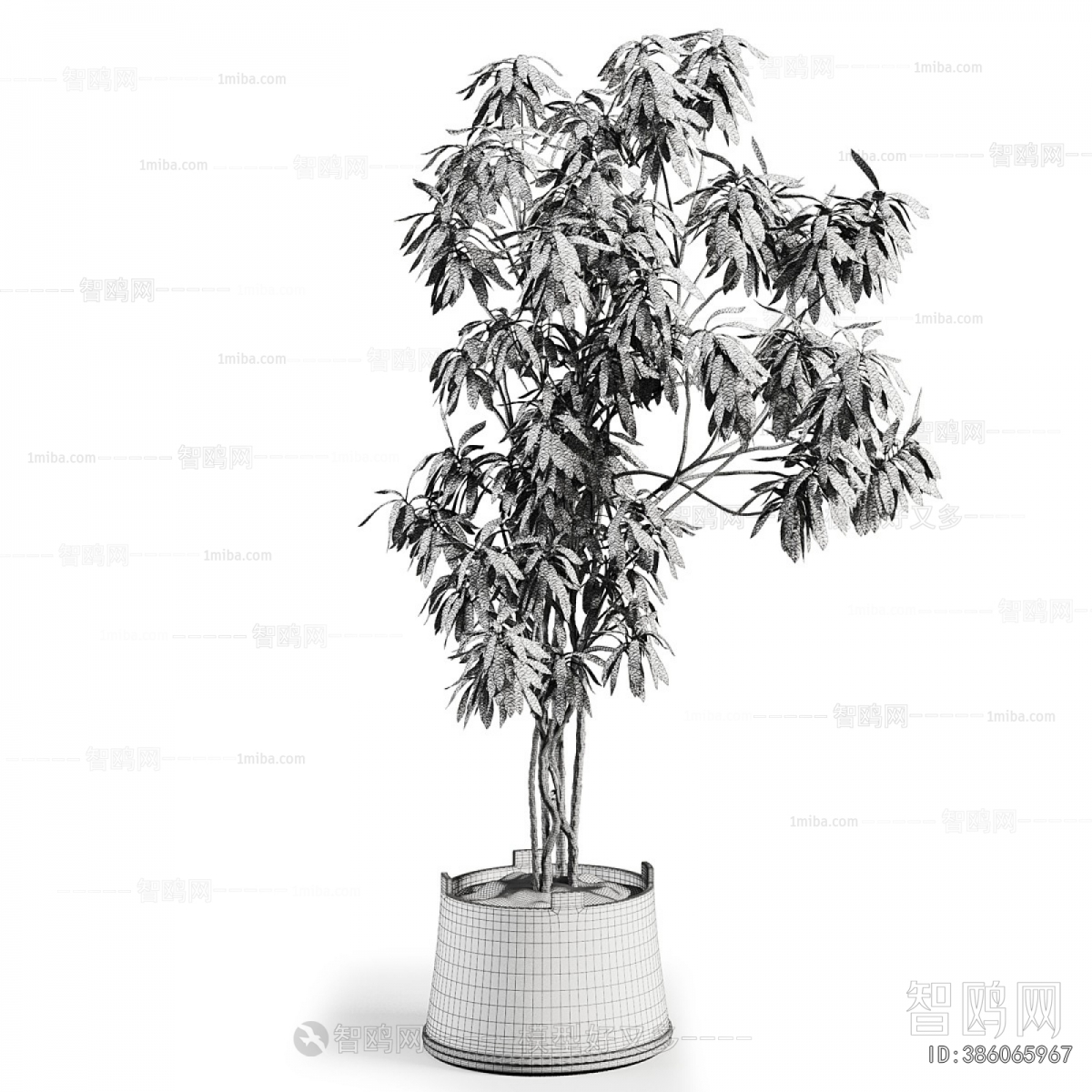 Modern Ground Green Plant Potted Plants