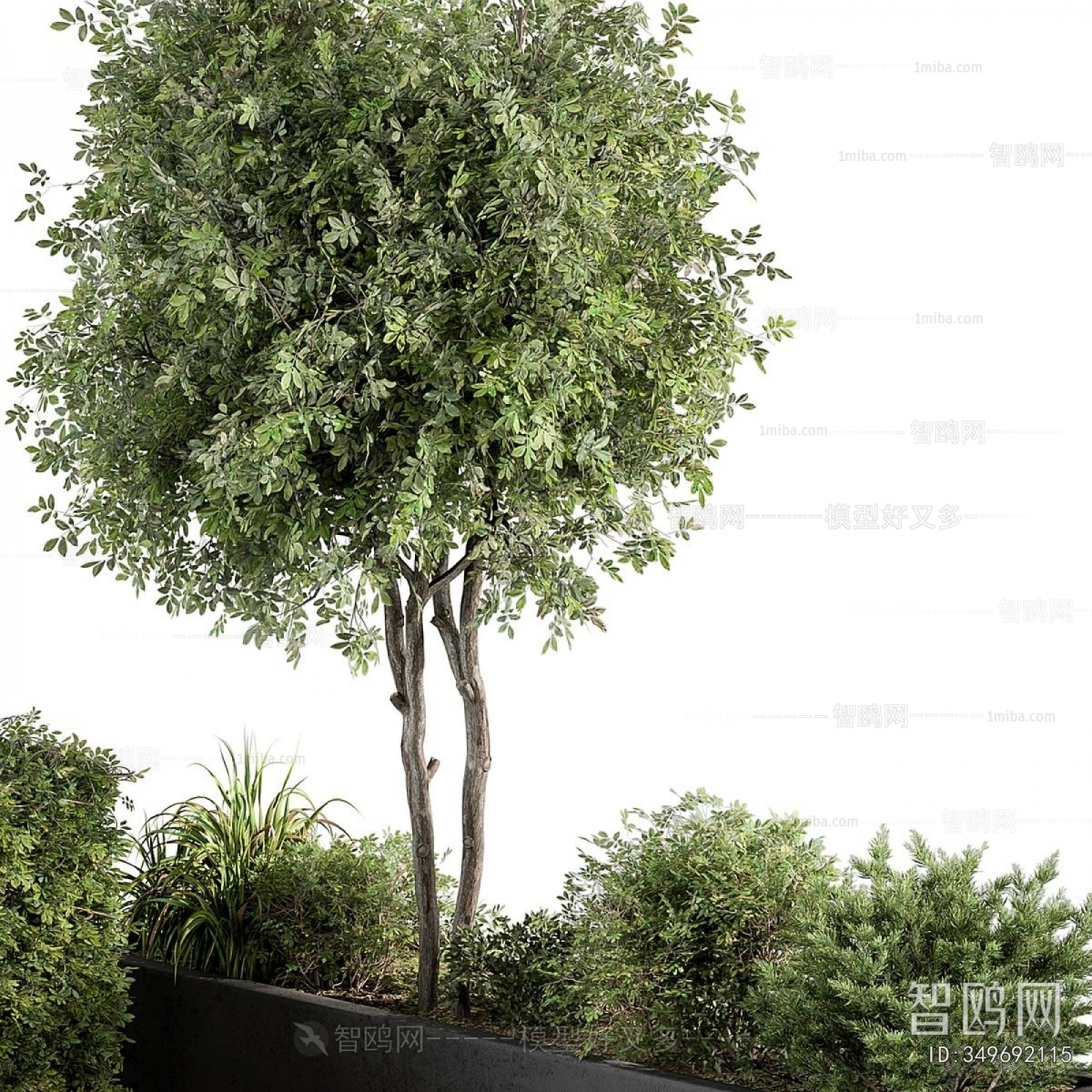 Modern Flower Bed, Flower Bowl, Flower Box