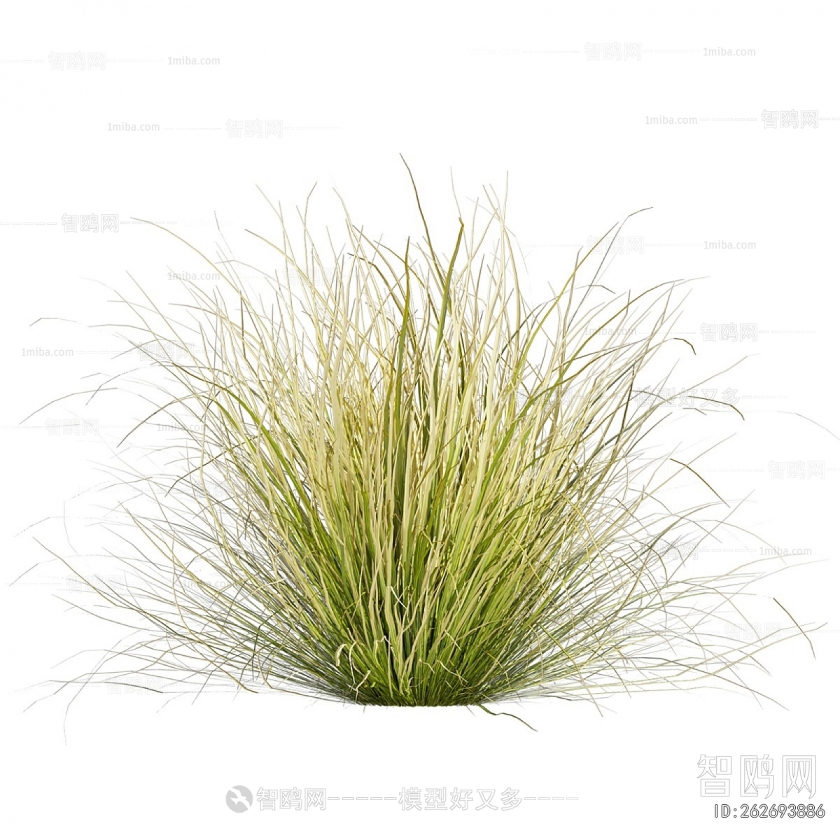 Modern The Grass
