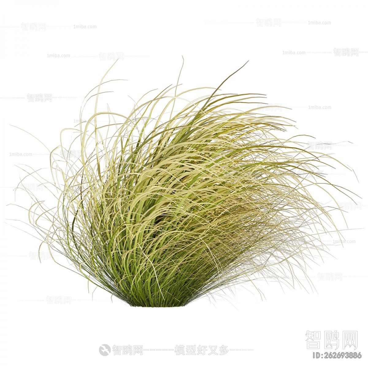 Modern The Grass