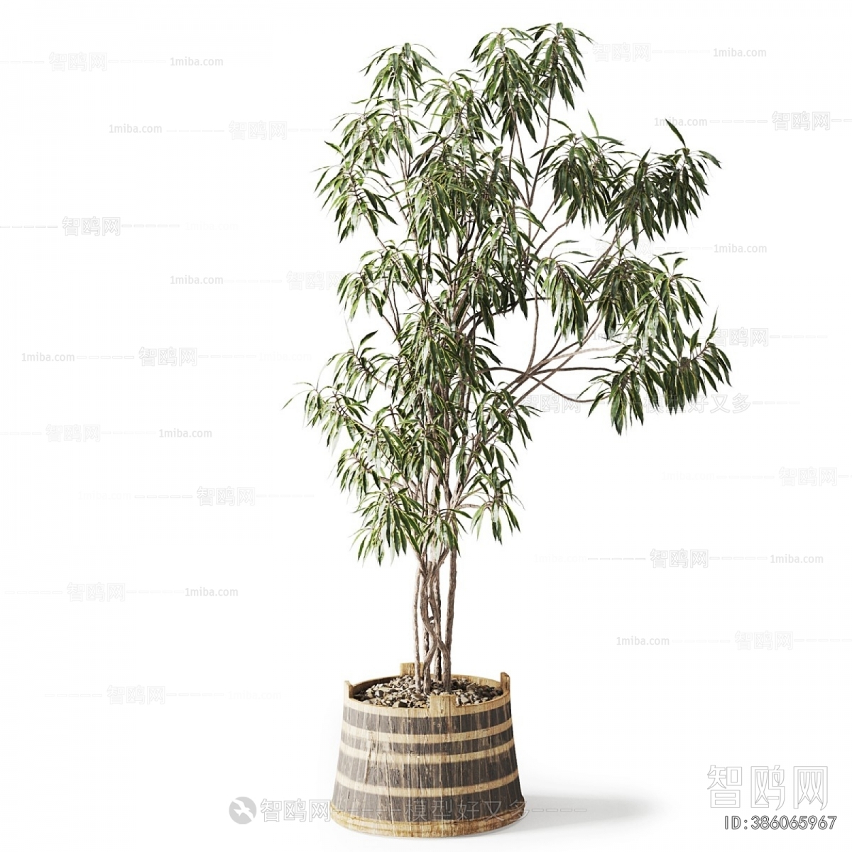 Modern Ground Green Plant Potted Plants