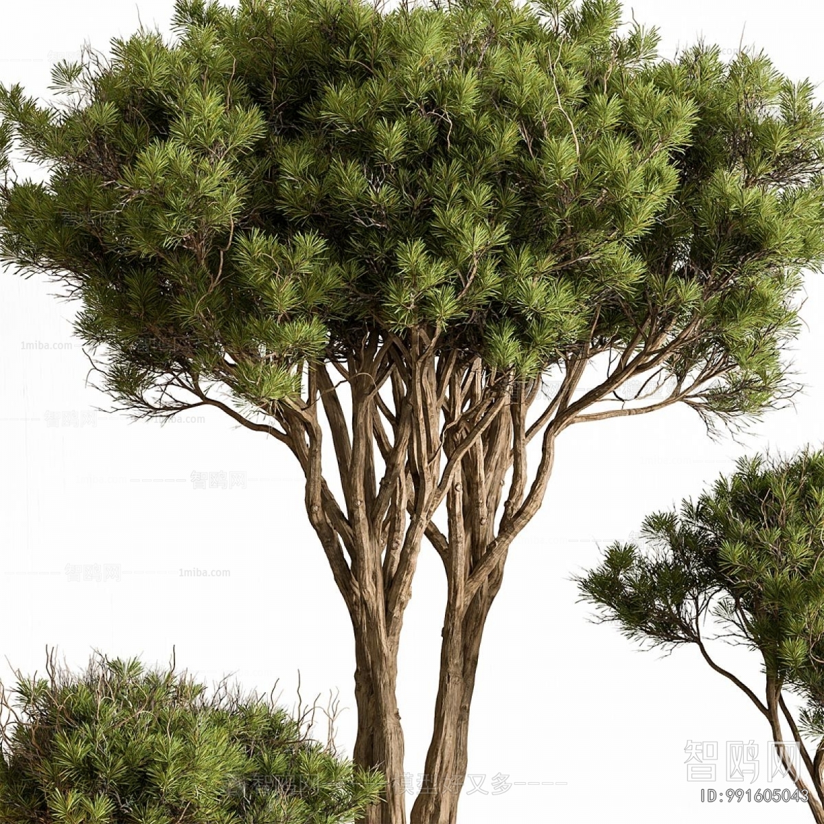 Modern Flower Bed, Flower Bowl, Flower Box