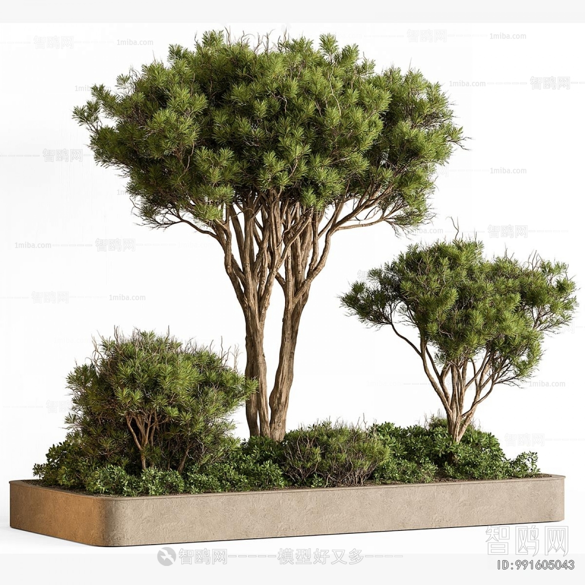 Modern Flower Bed, Flower Bowl, Flower Box