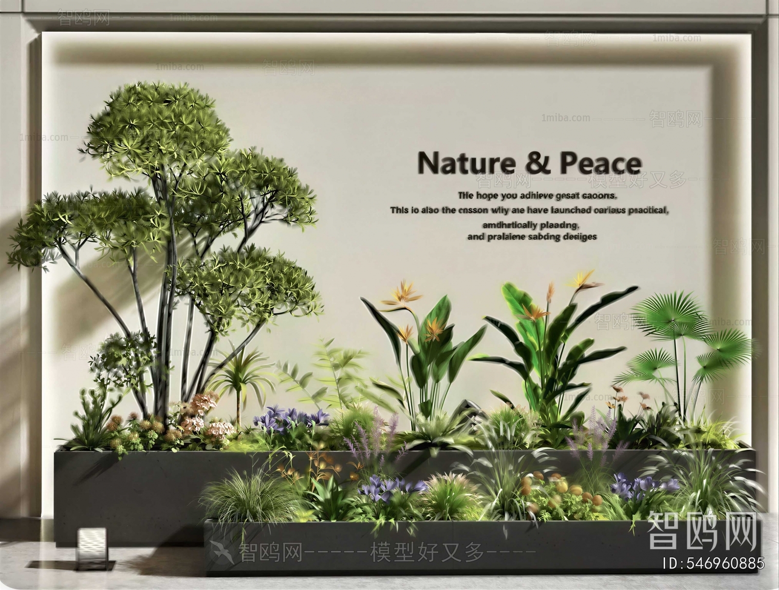 Modern Plant Landscaping