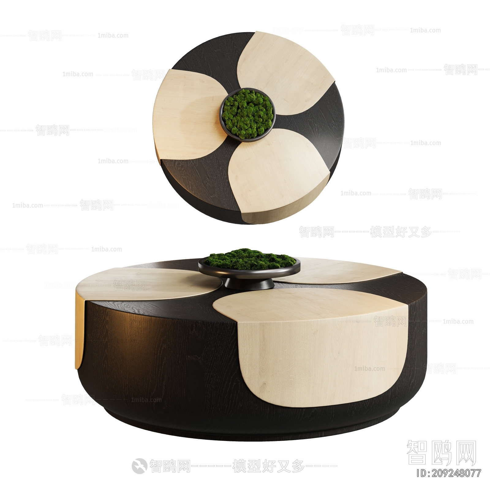 Modern Coffee Table