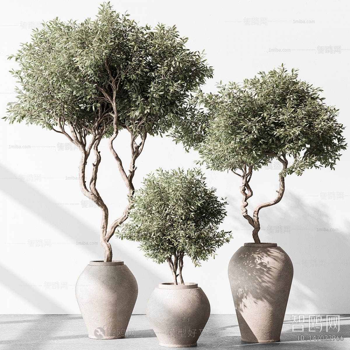 Modern Ground Green Plant Potted Plants