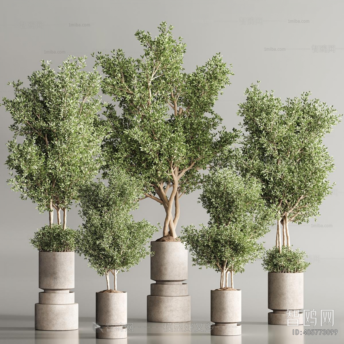 Modern Ground Green Plant Potted Plants