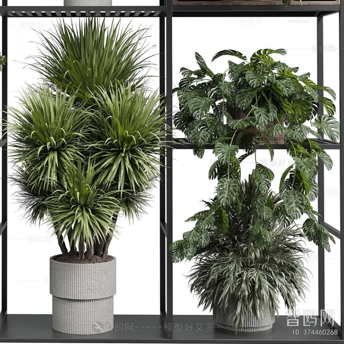 Modern Ground Green Plant Potted Plants