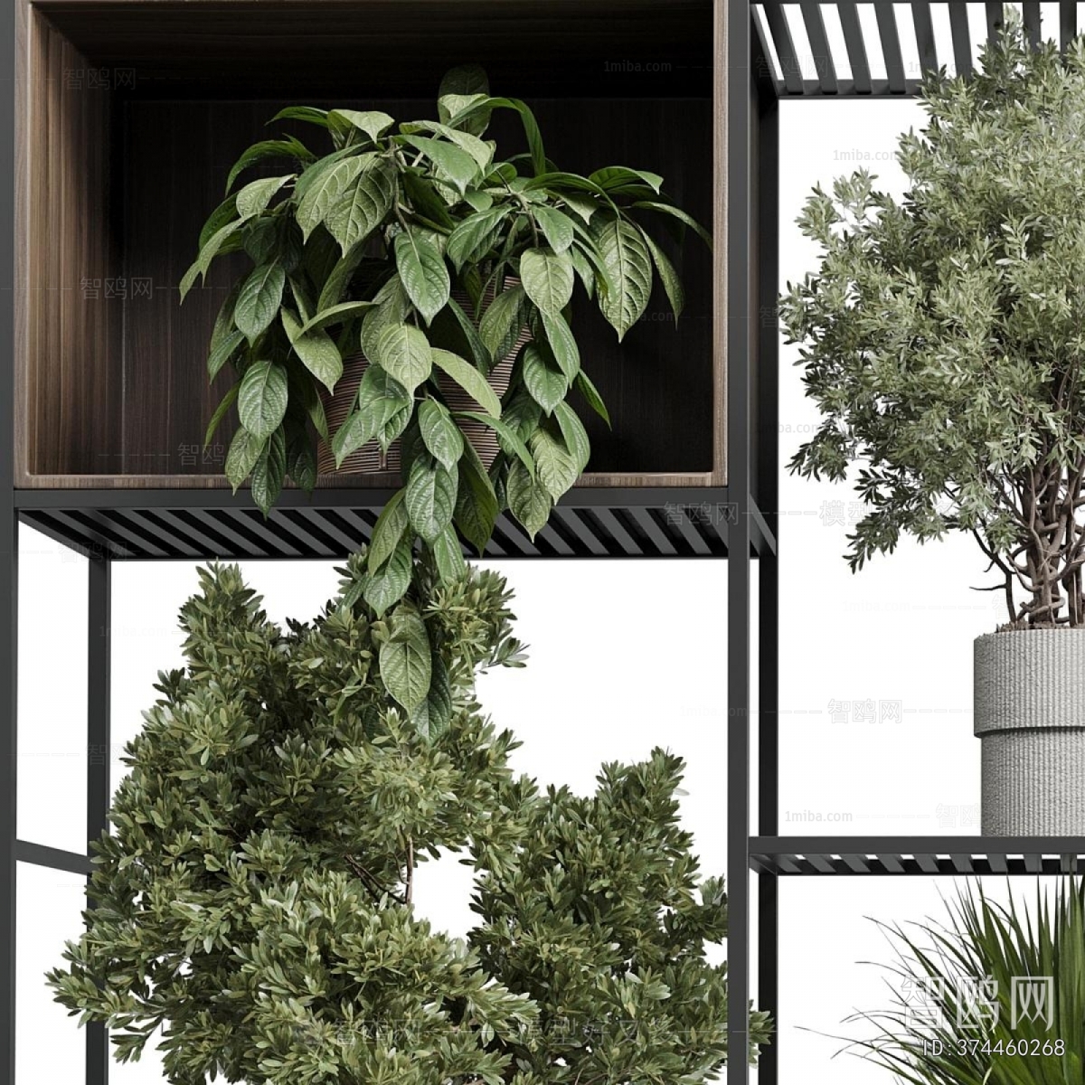 Modern Ground Green Plant Potted Plants