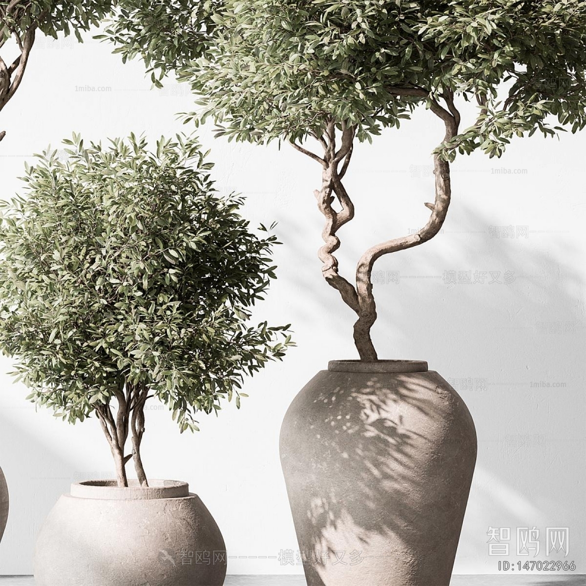 Modern Ground Green Plant Potted Plants