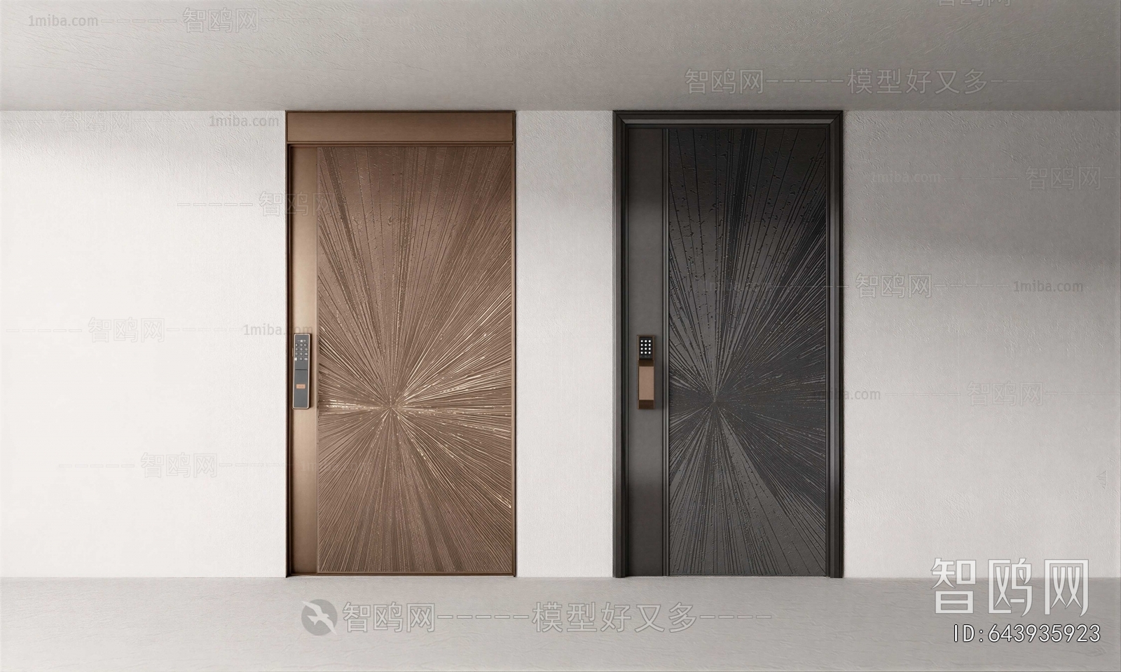 Modern Entrance Door