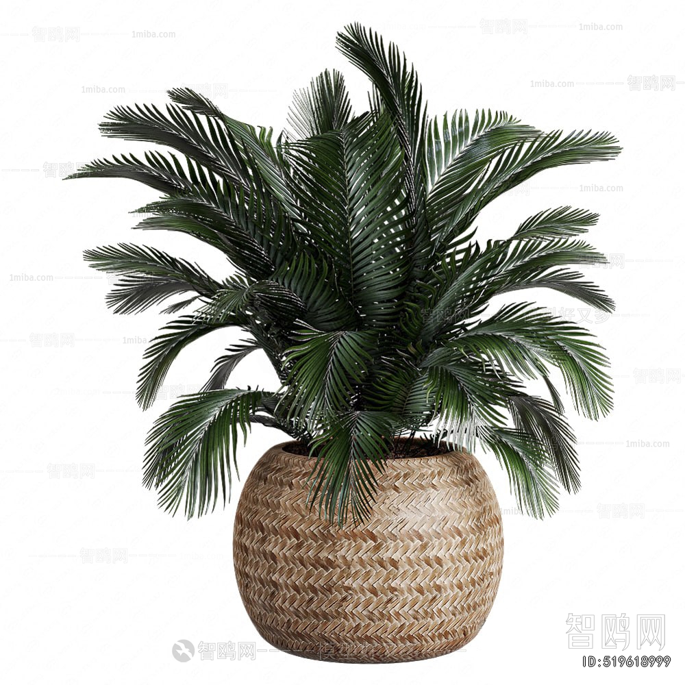 Modern Potted Green Plant