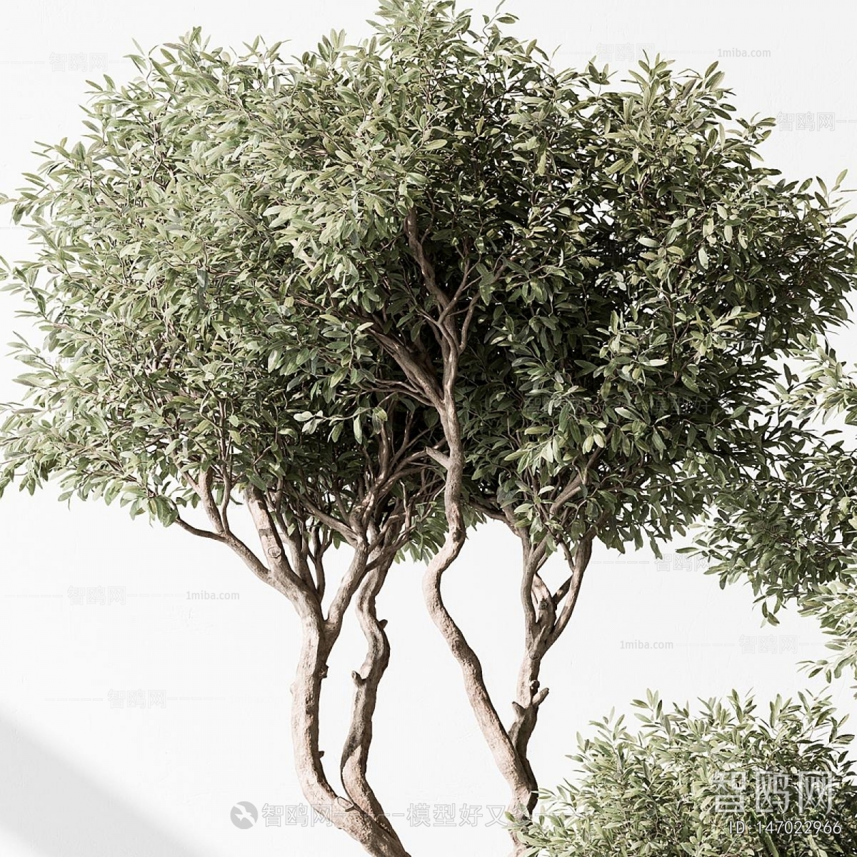 Modern Ground Green Plant Potted Plants